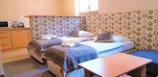 Отели типа «постель и завтрак» Willa Kłodzko-Zacisze Клодзко Двухместный номер Делюкс с 1 кроватью или 2 отдельными кроватями-1